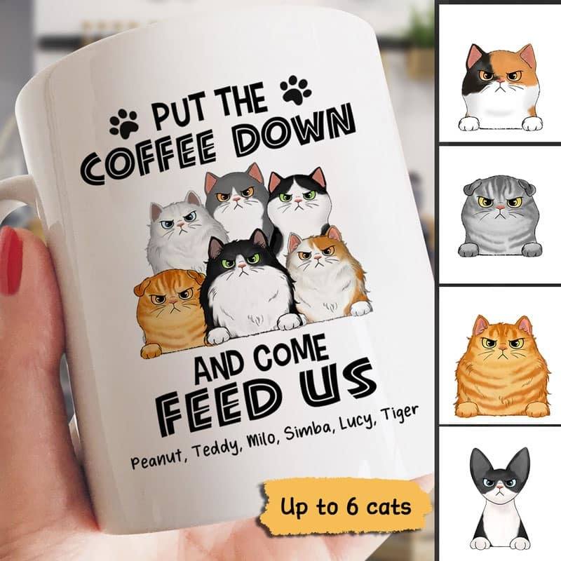 Grumpy Fluffy Cats Personalized Mug