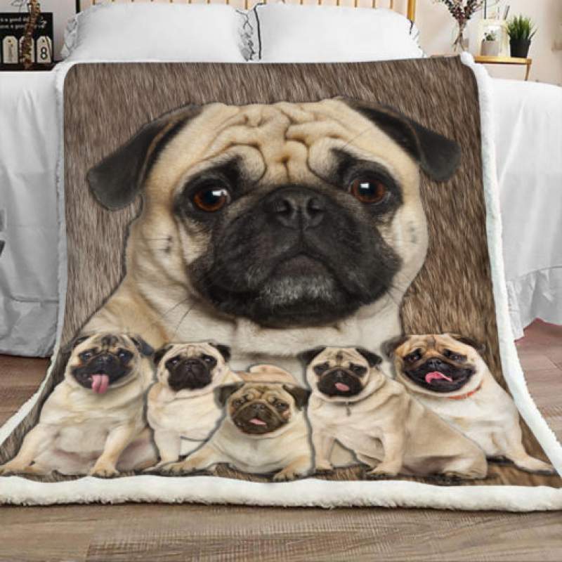 Pug Dog Sherpa Blanket JR1301 67O31