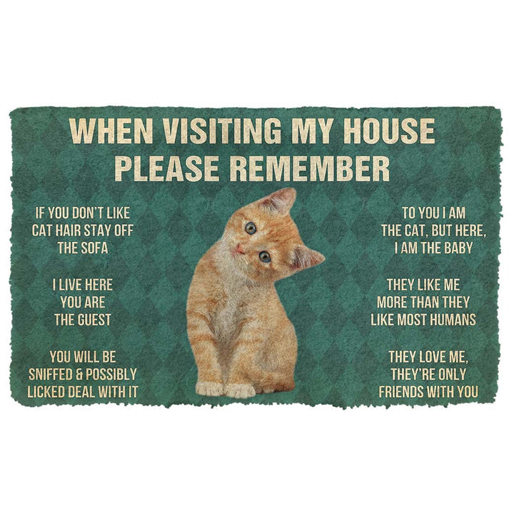 Waybackapparel Please Remember Orange Tabby Kitten Cats House Rules Custom 3D Doormat