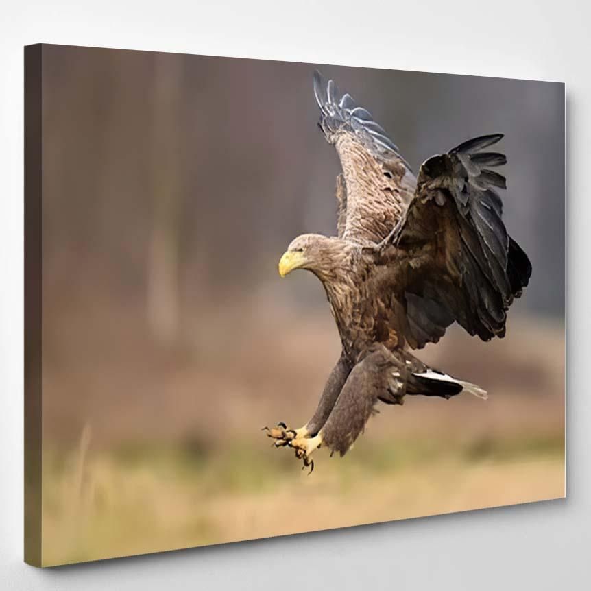 White Tailed Eagle Haliaeetus Albicill A2 – Eagle Animals Canvas Art Wall Decor Christmas Gift Ideas