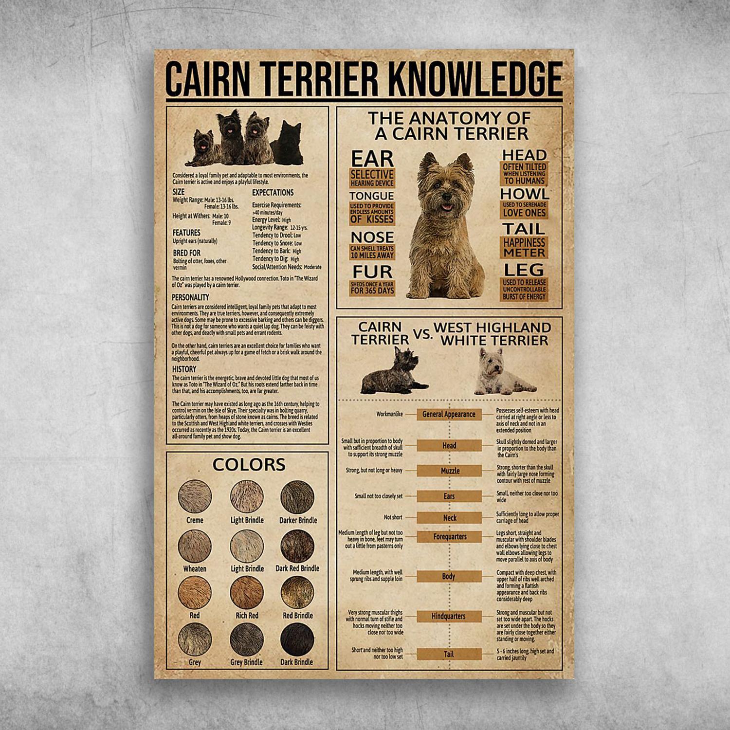 Cairn Terrier Knowledge The Anatomy Of A Cairn Terrier Poster Print Wall Art Canvas Wall Decor