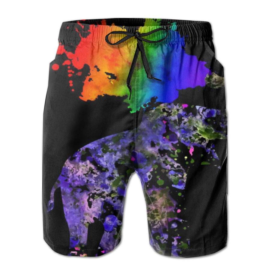 2 Pack Dream Without Fear Elephant Poster Men Swim Trunks Drawstring Elastic Waist Quick Dry Beach Shorts with Mesh Lining Swimwear Bathing Suits