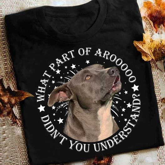 What Part Of Arooooo Didn’T You Understand Funny Pitbull Gift For Dog Lovers Standard/Premium T-Shirt