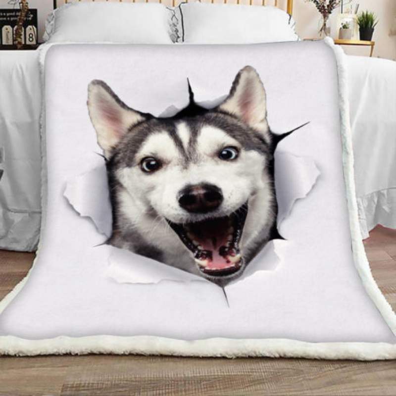 Siberian Husky Dog Sherpa Blanket JR1601 68O52