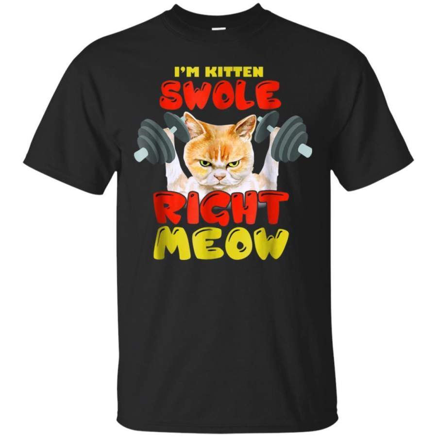 AGR Im Kitten Swole Right Meow Funny Cat Lover Gym Fit Shirt Jaq T-shirt