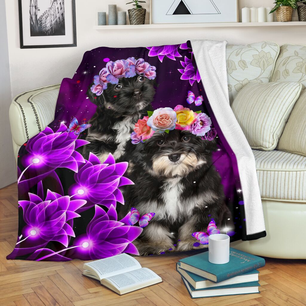 Schnauzer puppy cute with flower blanket