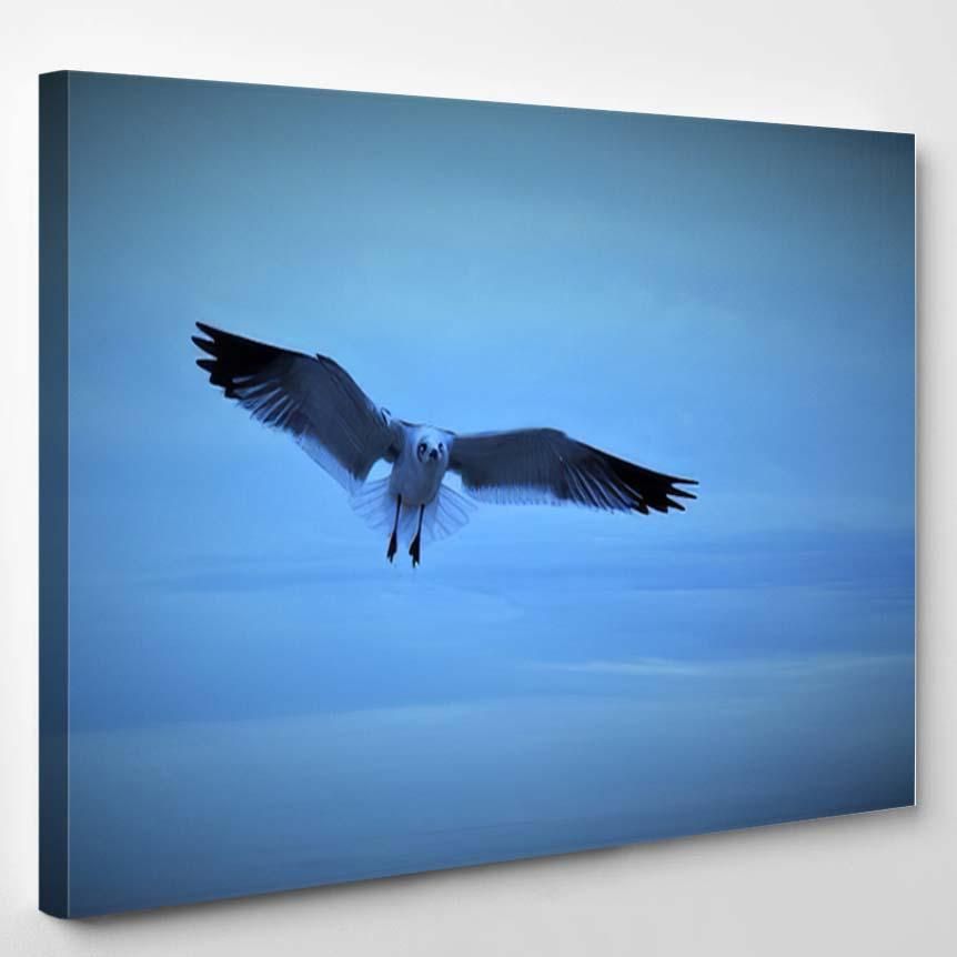 Single Seagull Flying Sunrise Blue Background – Eagle Animals Canvas Art Wall Decor Christmas Gift Ideas