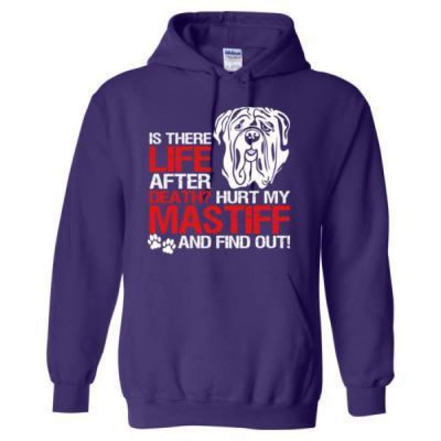 AGR Is There Life After Death Hurt My Mastiff And Find Out – Heavy Blend™ Hooded Sweatshirt