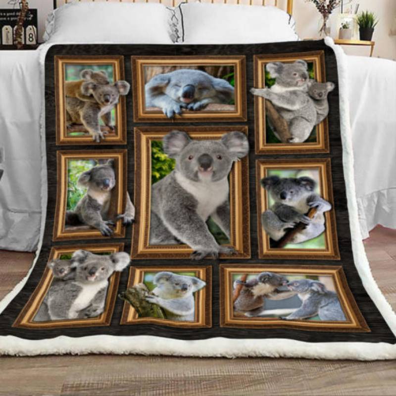 Koala Sherpa Blanket JR1301 95O47