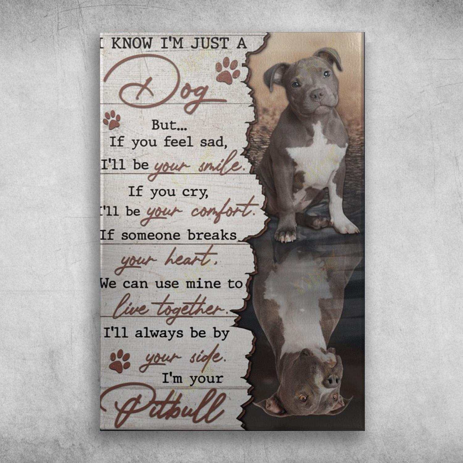 pitbull-dog-i-know-i-m-just-a-dog-but-if-you-feel-sad-i-ll-be-your