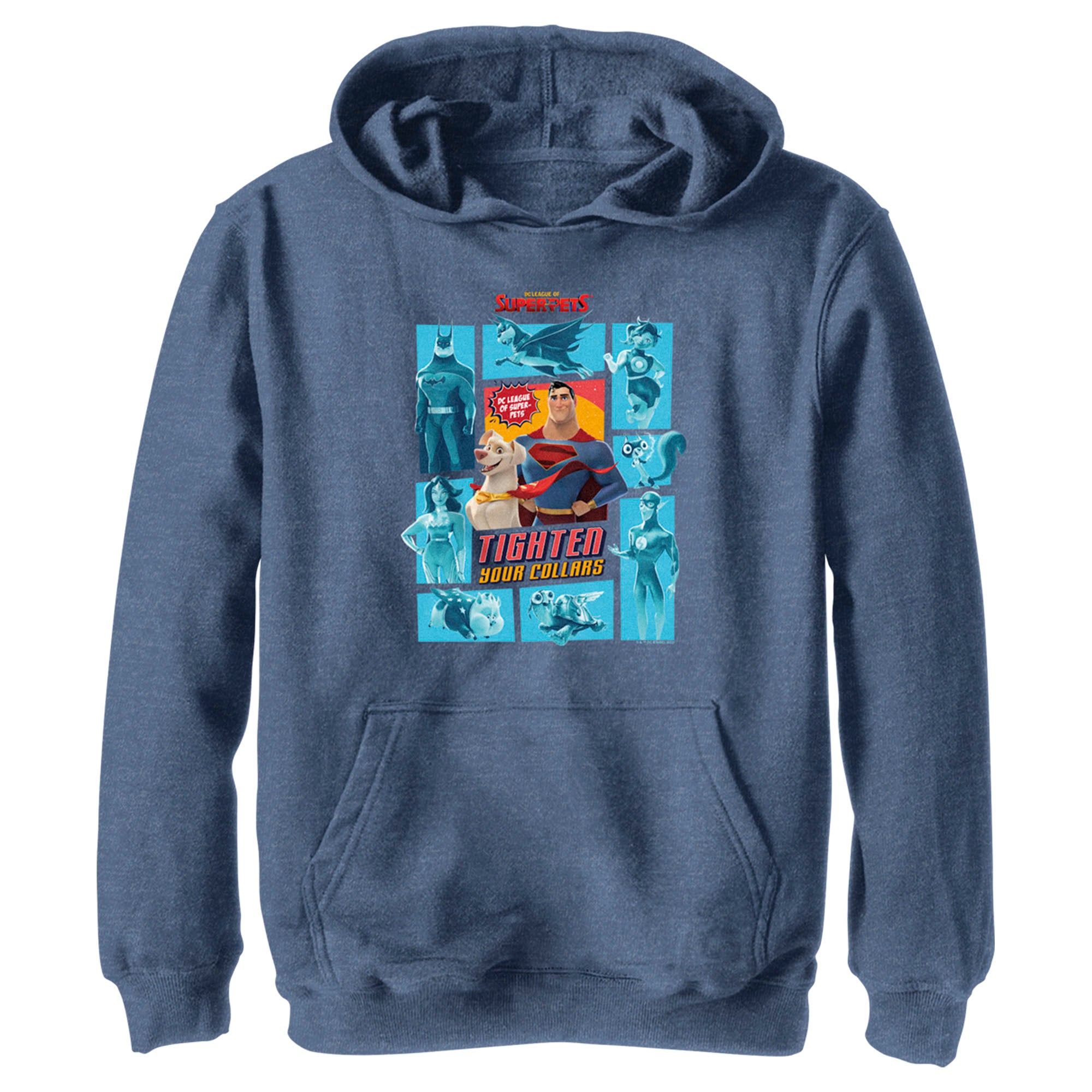 Boy’S Dc League Of Super-Pets Tighten Your Collars Panels Pull Over Hoodie