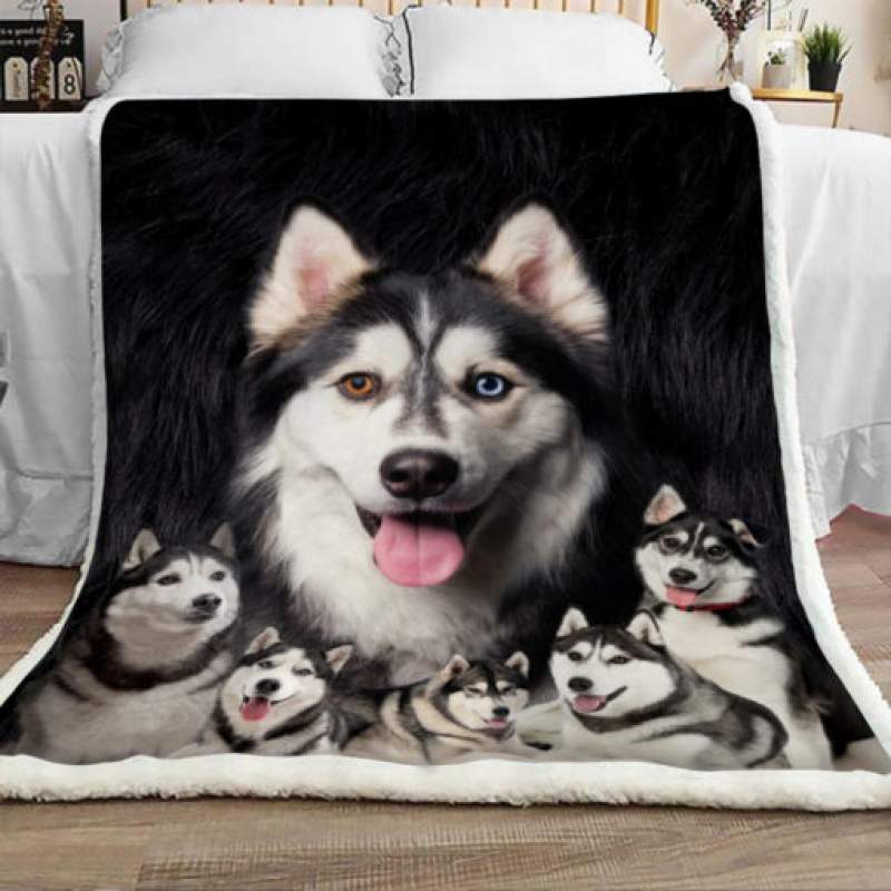 Siberian Husky Dog Sherpa Blanket JR1701 70O52