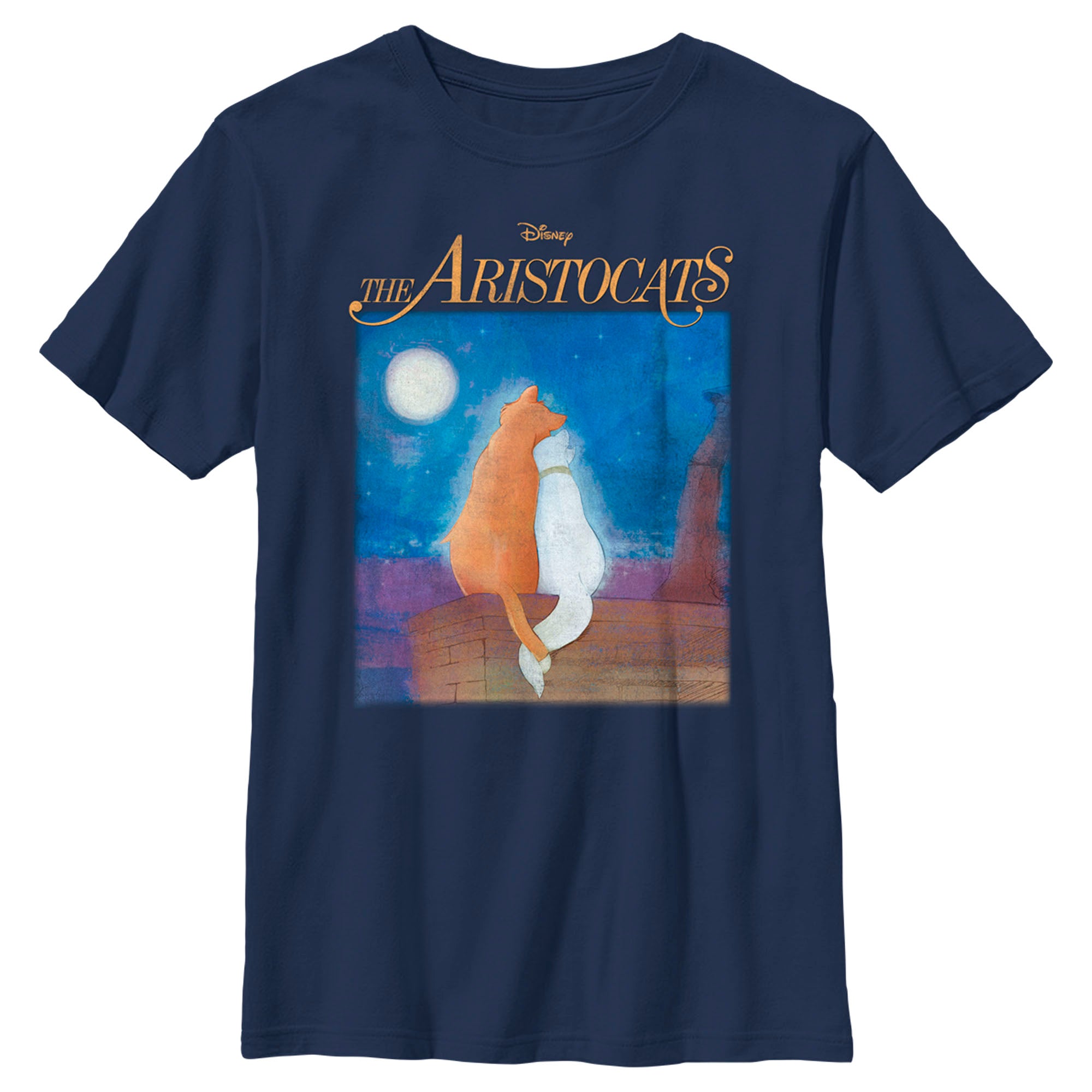 Boy’S Aristocats Duchess And O’Malley Night Sky T-Shirt