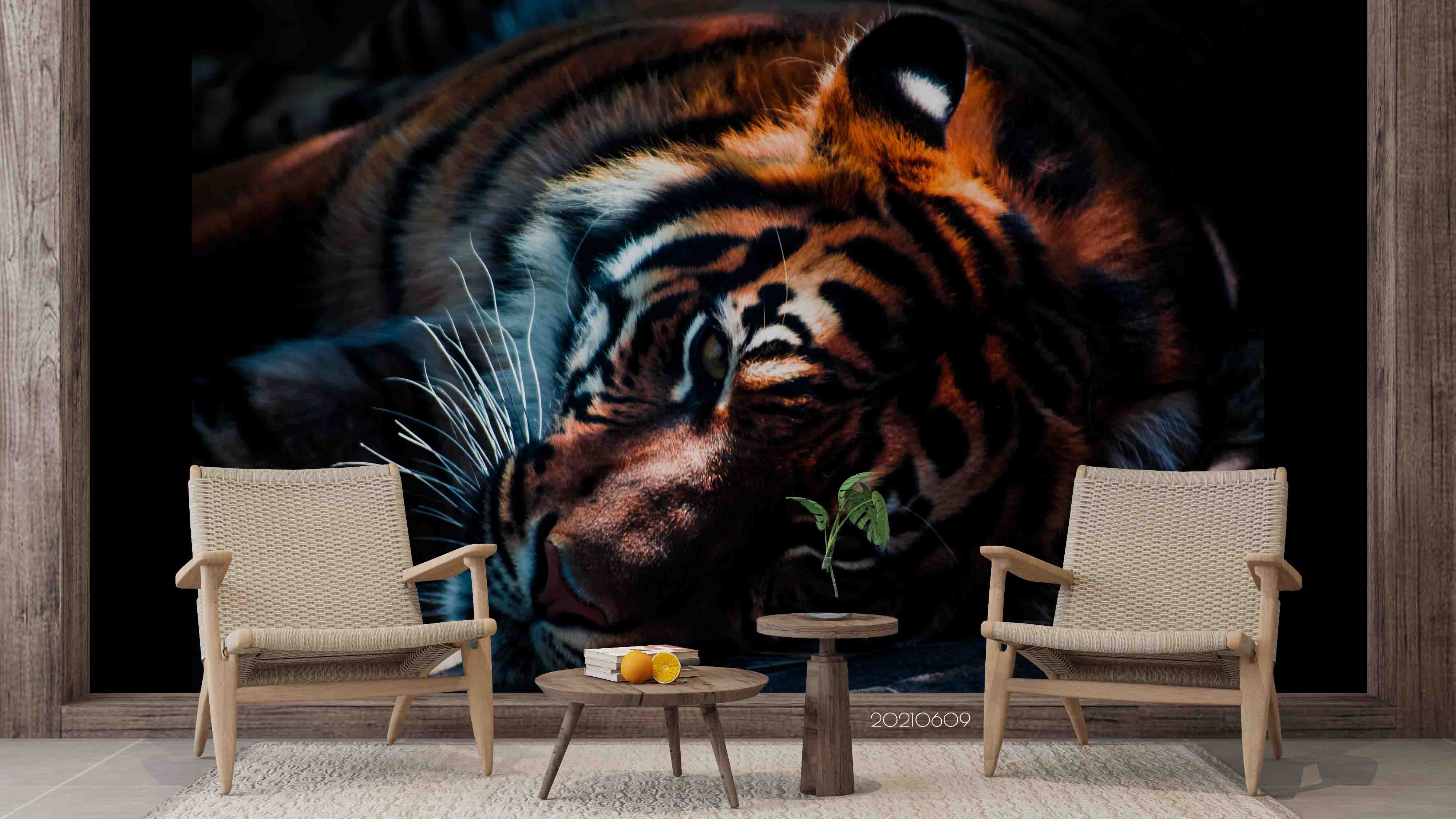 3D Africa Animal Tiger  Realistic Wall Mural Wallpaper Sww1663