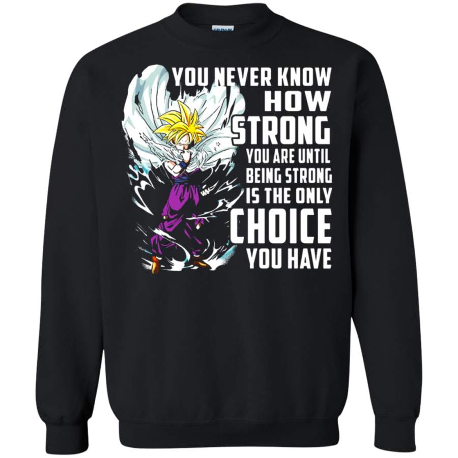 AGR Dragon Ball – Son Gohan You Never Know How Strong You Are Sweatshirt