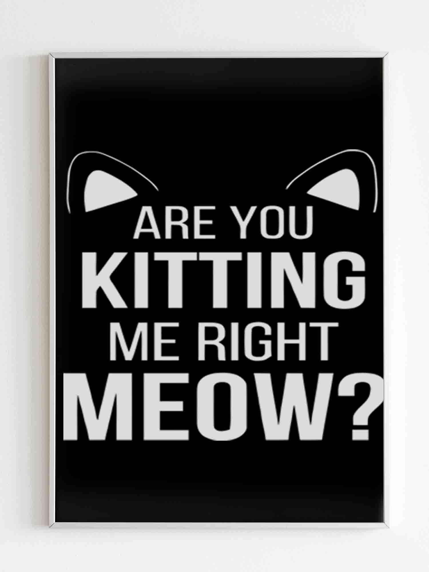 Are You Kitten Me Right Meow Duck Poster