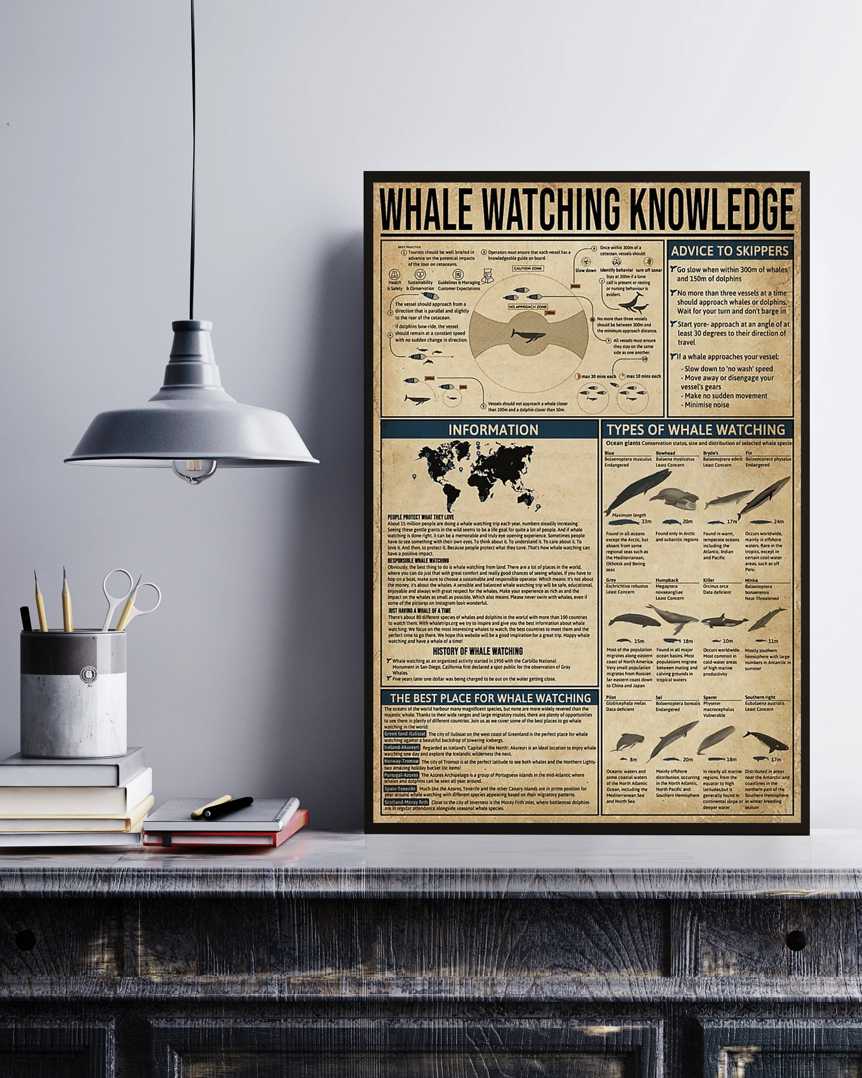 Whale Watching Knowledge Canvas Poster Wall Art