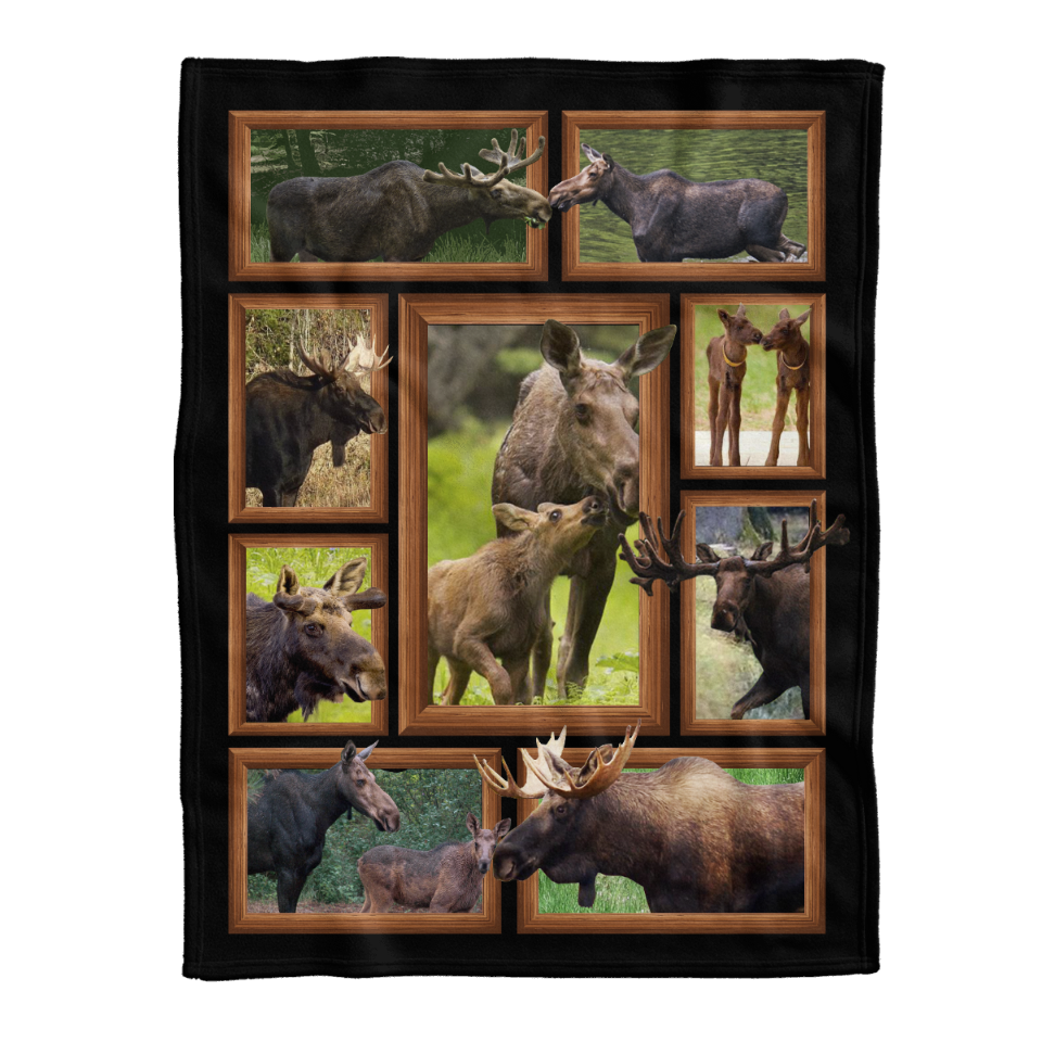 Animal Blanket, Moose Cute Theme Fleece Blanket