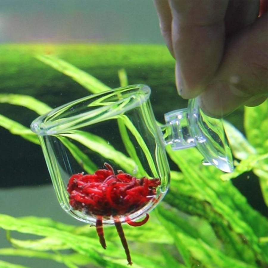 Clear Glass Bubble Crystal Shrimp Fish Feeding Cup Basin Feeder Plant Tank