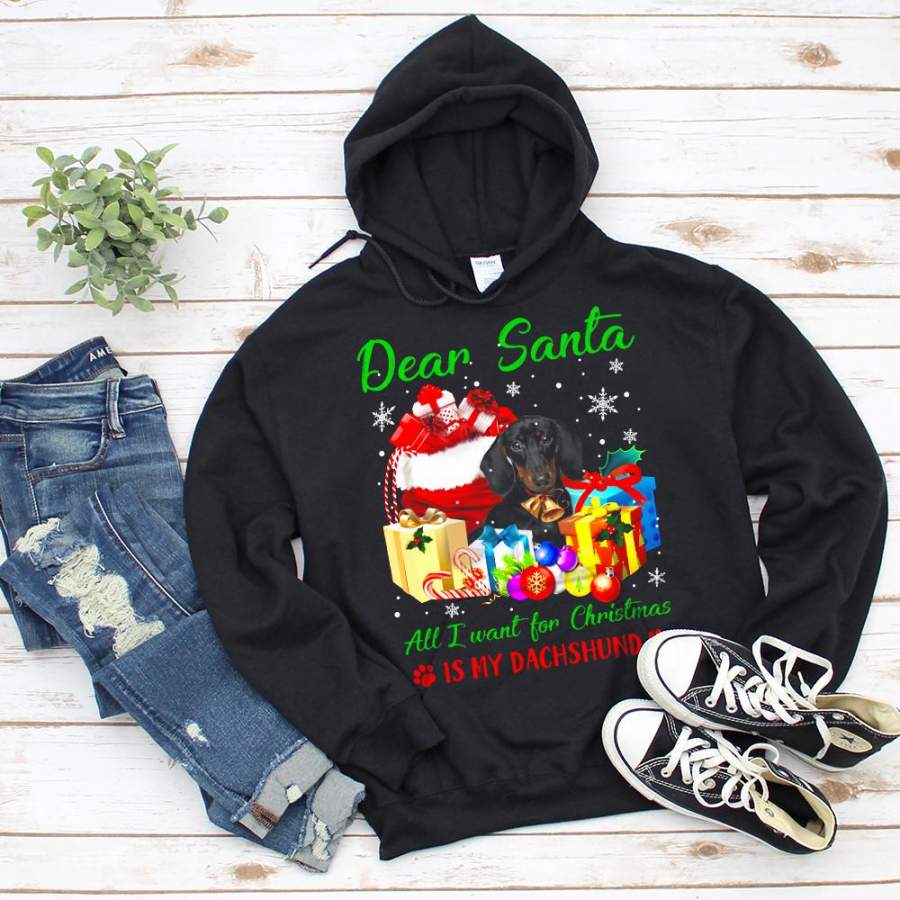 Dachshund all i want for christmas is my dachshund candy cane gift snow ornament black hoodie for men and women S-5XL