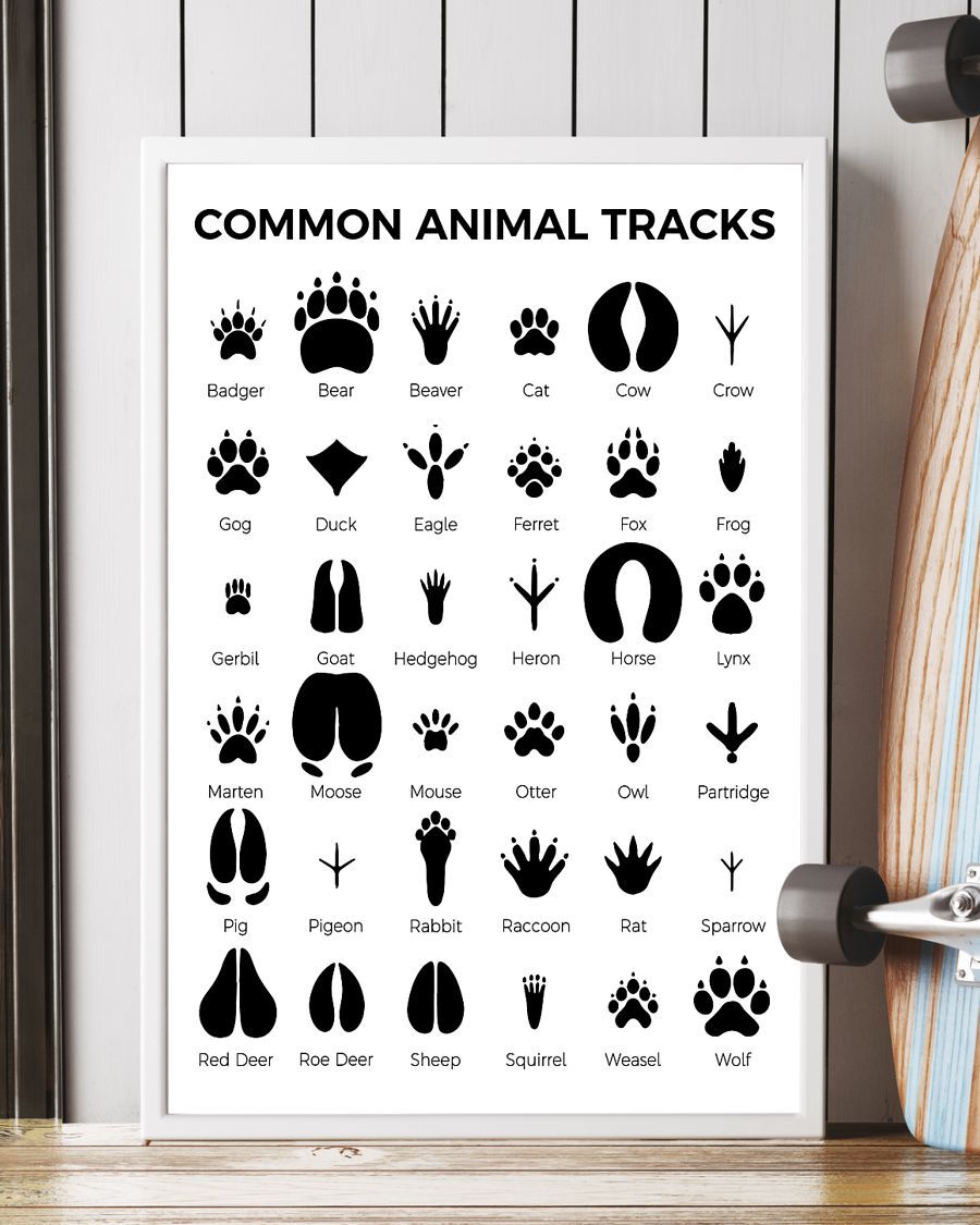 Veterinarians Common Animal Tracks Vertical Canvas And Poster | Wall Decor Visual Art