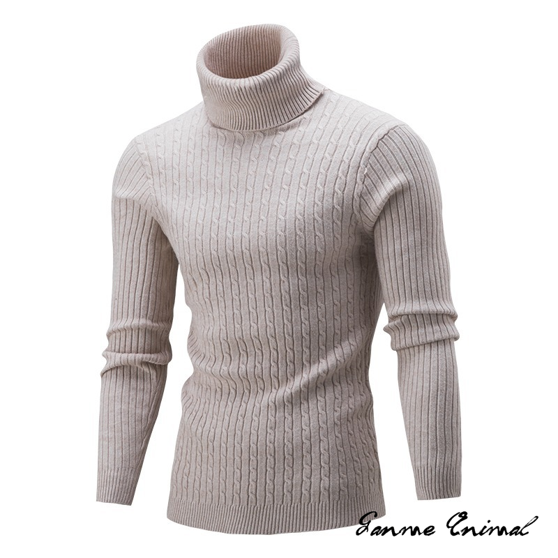 Winter Warm Turtleneck Sweater Autumn Men’s Rollneck Warm Knitted Sweater protect the neck S-XXL alx