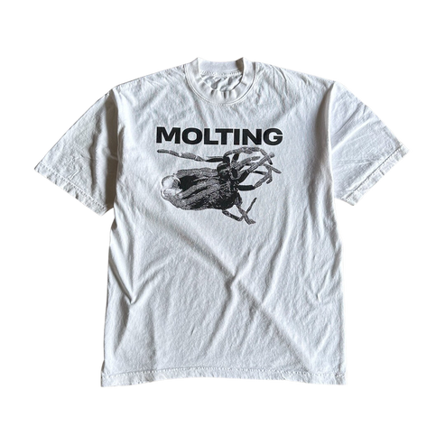 Molting Spider Tee Shirt Outfit