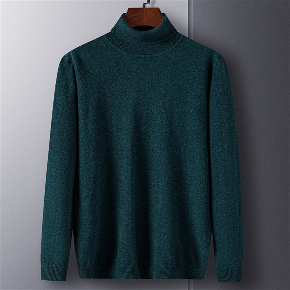 COODRONY Brand 100% Merino Wool Turtleneck Sweater Men Clothing Autumn Winter Pure Color Slim Thick Warm Cashmere Pullover Z3016 alx