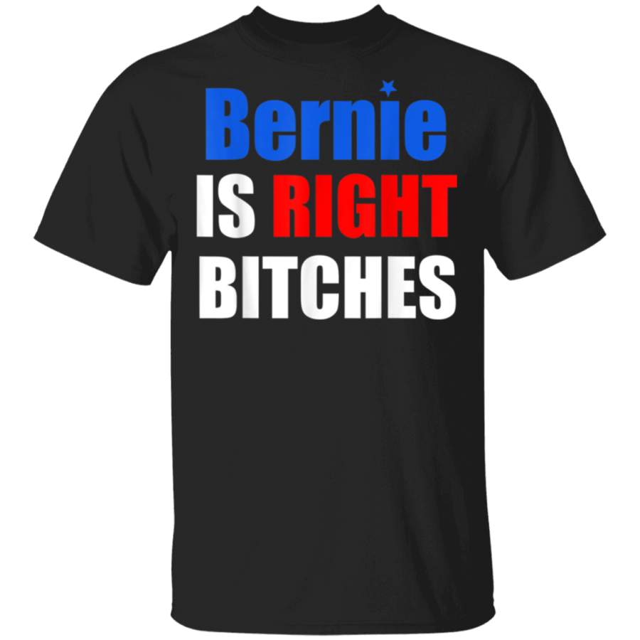 Bernie Is Right TShirt