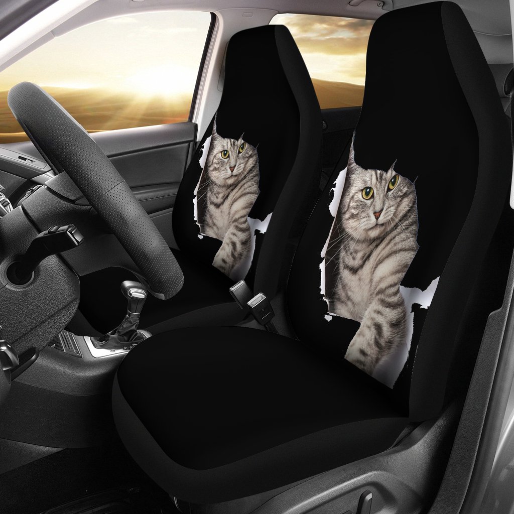 Big Cat Kitten Dog Pet Door Car Seat Covers