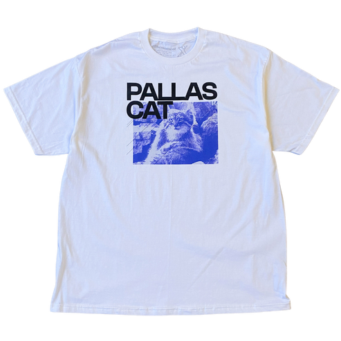 Sitting Pallas Cat Tee Shirt Outfit