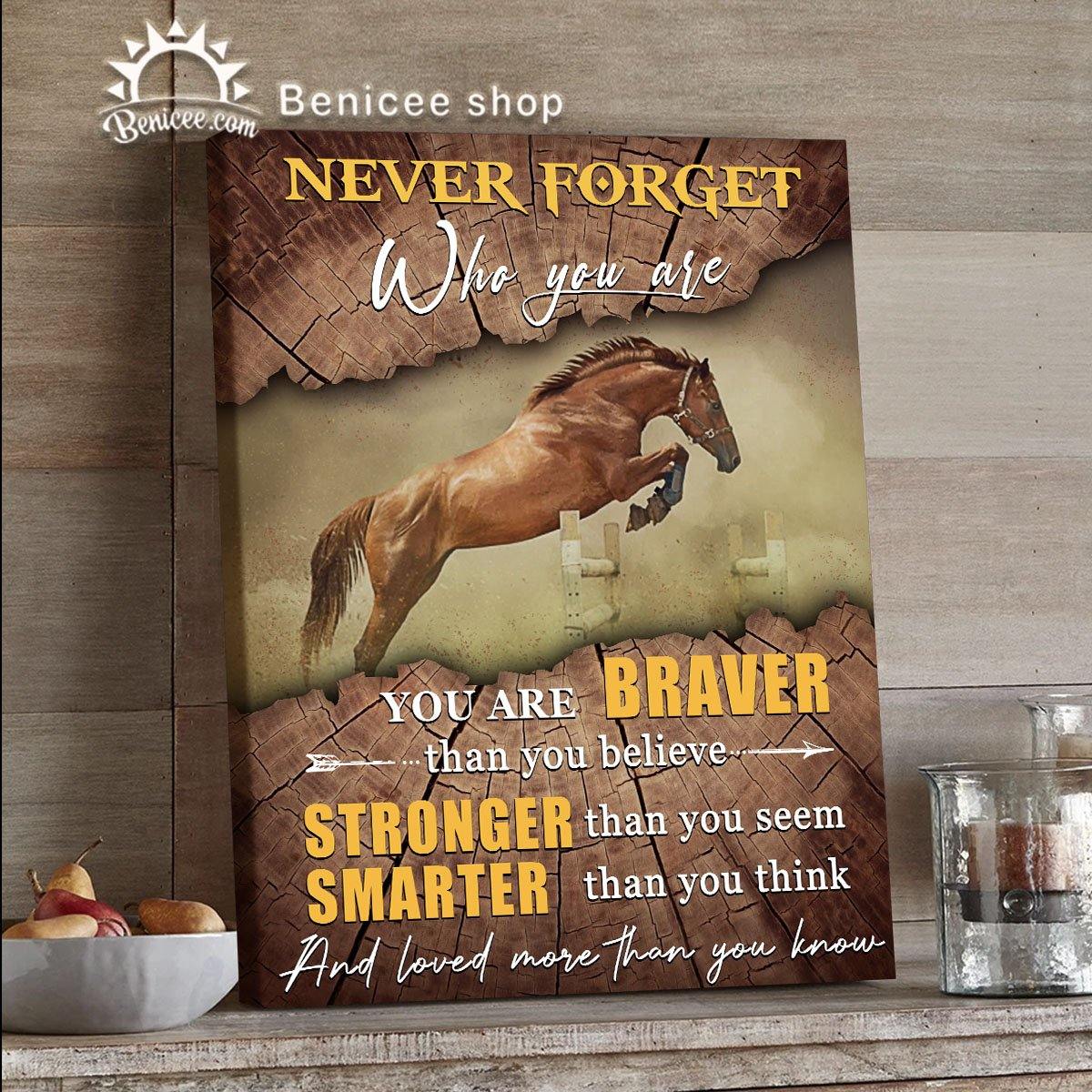 Benicee Horse Motivation Wall Art Canvas Never Forget Who You Are Top 10 Home Decor