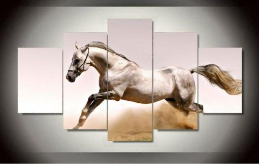 White Arabian Horse Animal 5 Panel Canvas Art Wall Decor