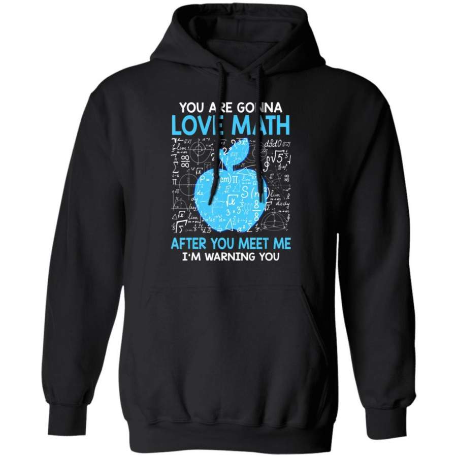 You are Gonna Love Math After You Meet Me Funny Teacher Hoodie