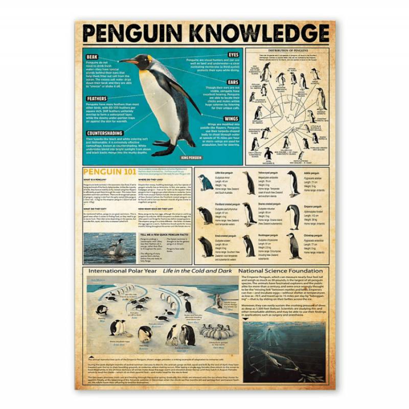 Penguin Knowledge Special Custom Design Poster Gift For Animal Lovers