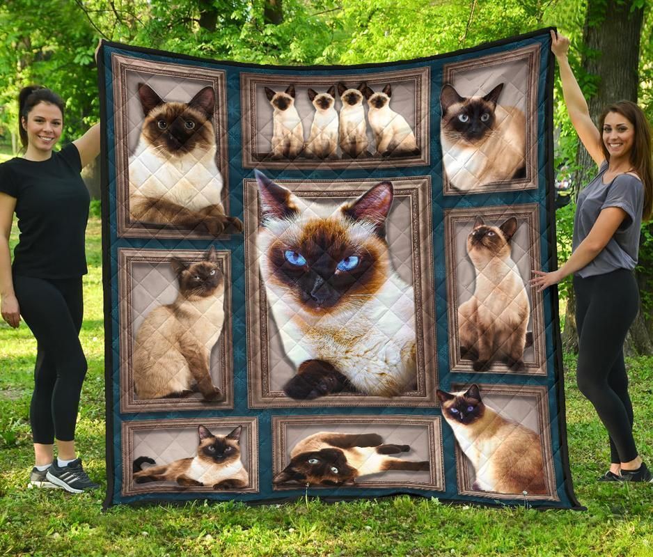 Siamese Cat Beautiful cat Quilt Blanket