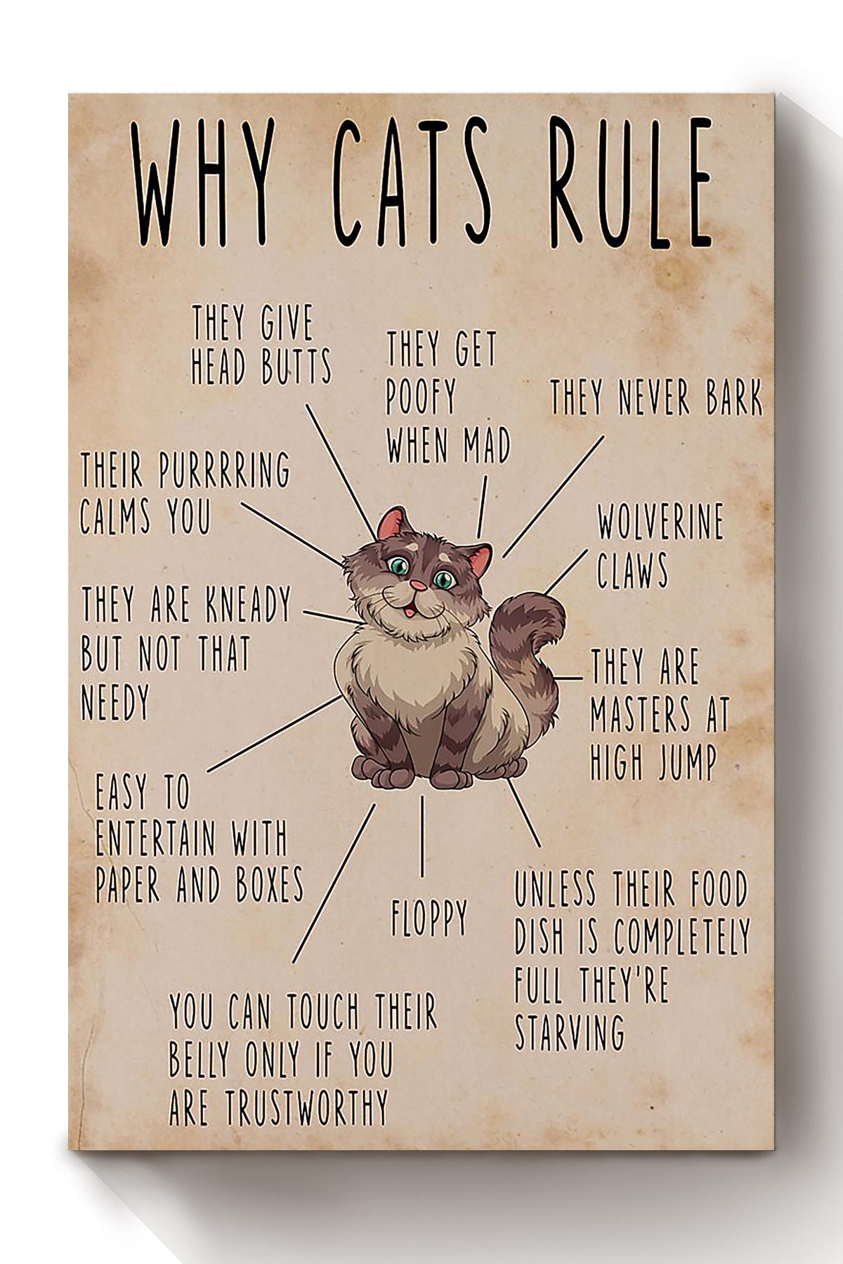 Cats Rule Animal Wall Art Gift For Cat Lover International Cat Day Kitten Foster Canvas