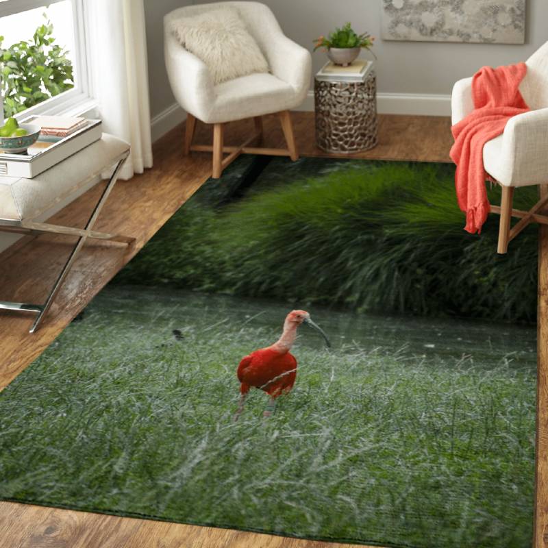 Scarlet ibis – Animals Area Rug Carpet