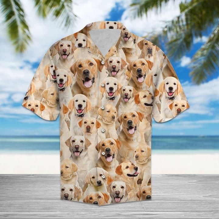 Labrador Dogs Hawaii Graphic Print Short Sleeve Hawaii Casual Shirt Ha13670