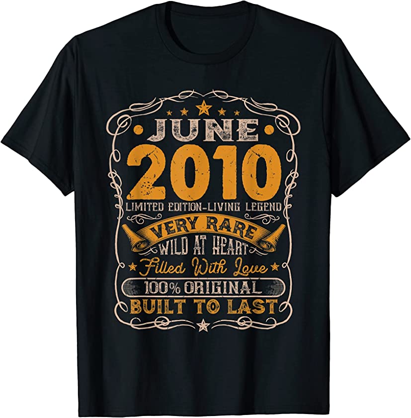 Vintage June 2010 Distressed 11 Years Old 11th Birthday T-Shirt