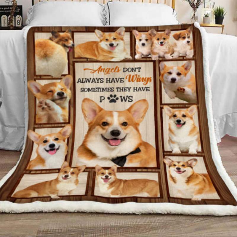 Corgi Dog Sherpa Blanket JR2002 71O49