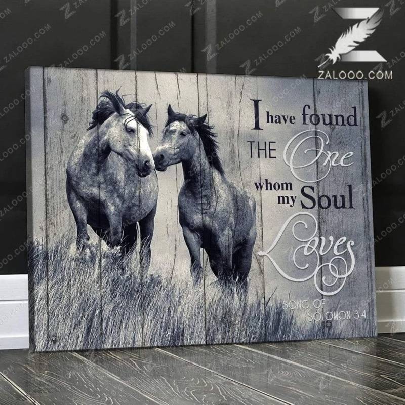 I Found Horse Poster Canvas 312320836