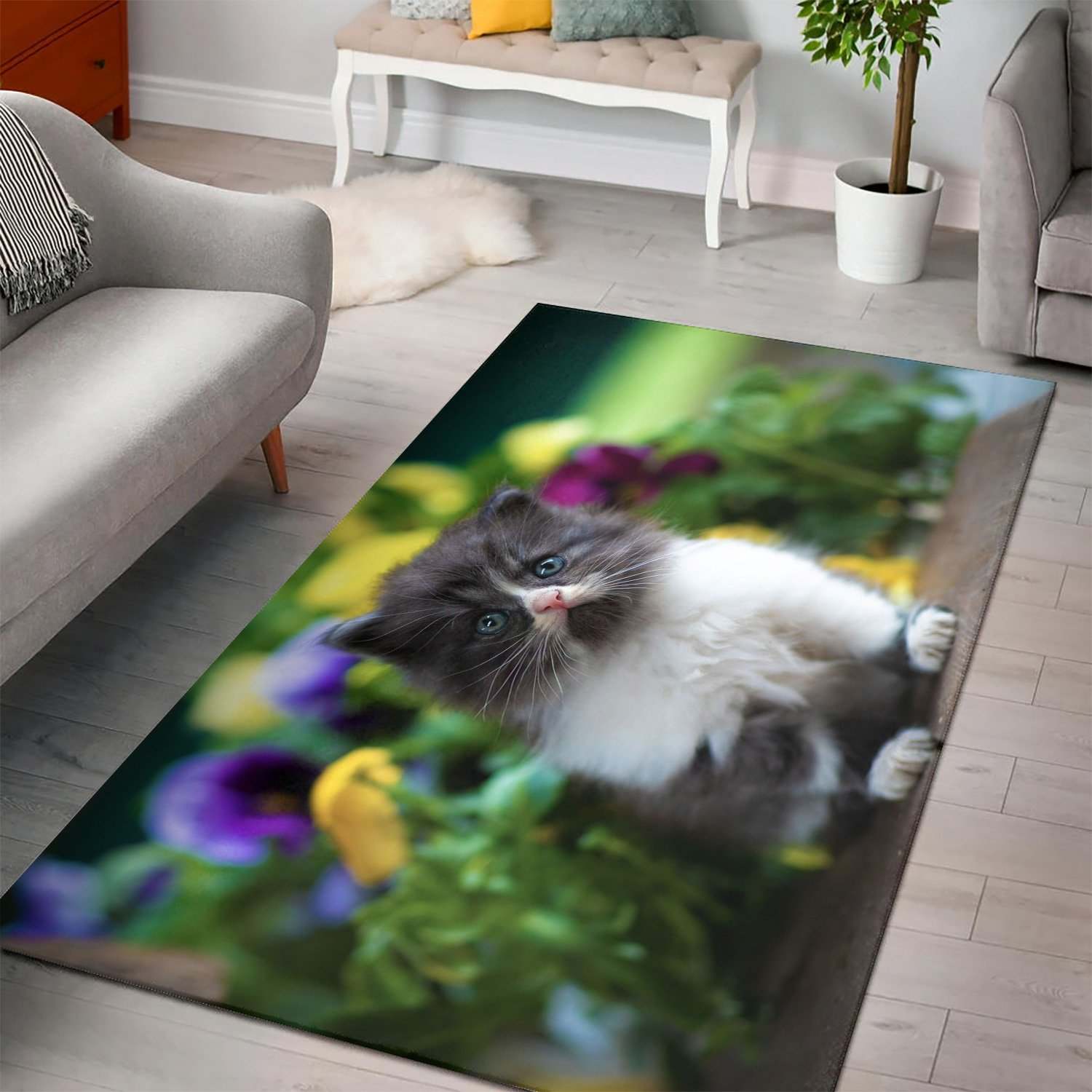 Cats Bokeh Kittens Glance Area Rug Living Room Rug Family Gift US Decor