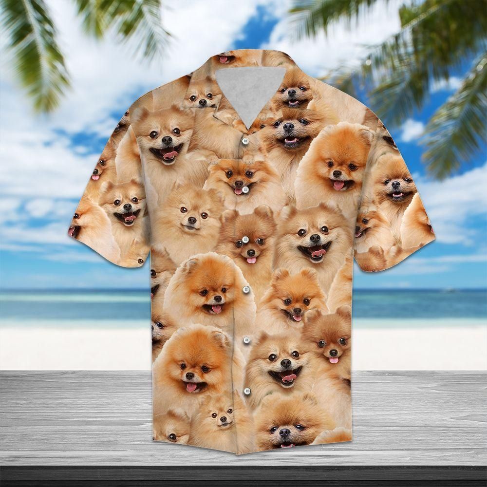 Pomeranian Aloha Hawaii Shirt Colorful Short Sleeve Summer Beach Casual For Men And Women Ha16472