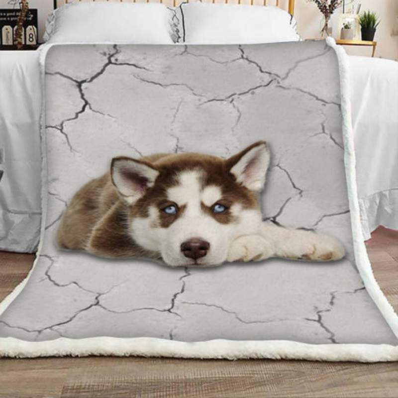 Siberian Husky Dog Sherpa Blanket JR2002 69O56