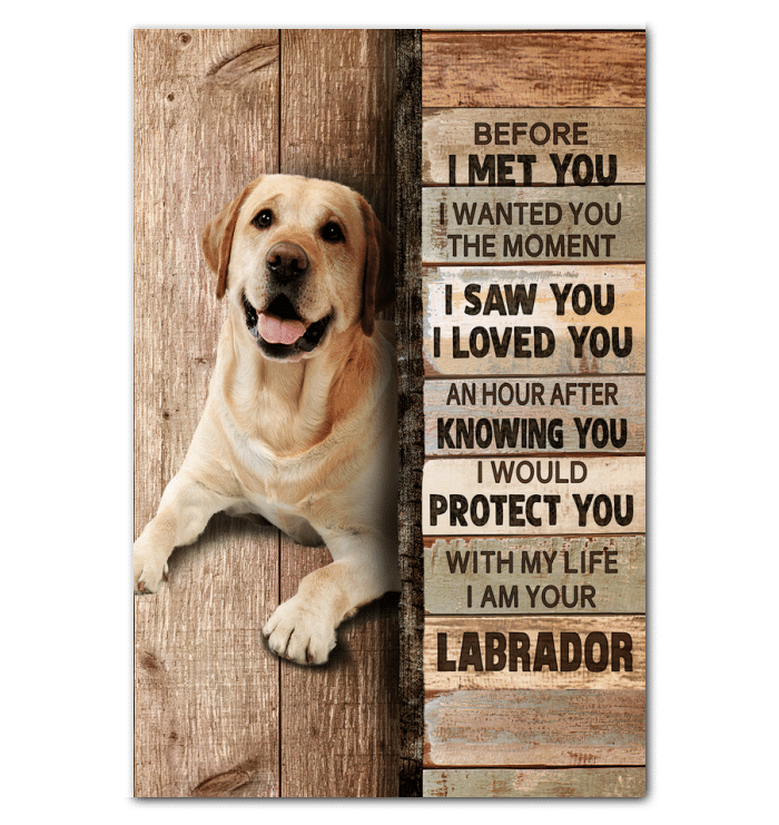 Before I Met You I Wanted You The Moment Giving Labrador Lovers – Home Decor –  Matte Canvas