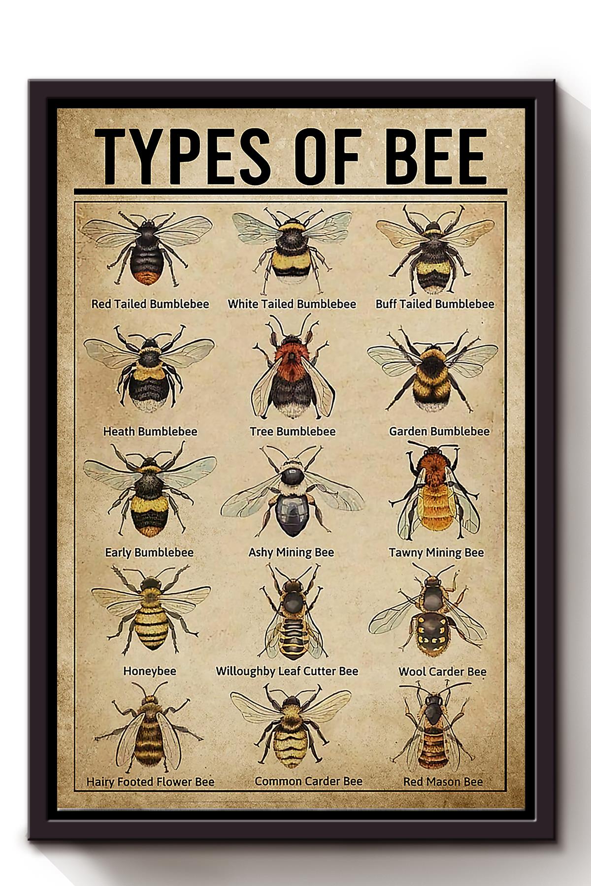 Tyoe Of Bee Animal Wall Art Gift For Bee Lovers Scientists Framed Matte Canvas