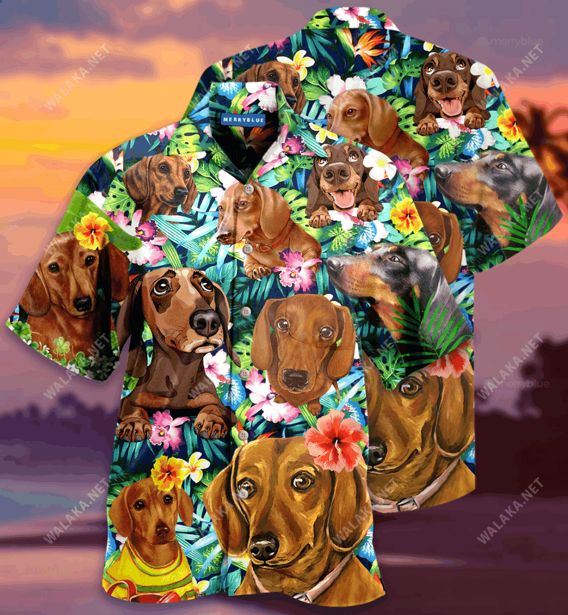 Short Legs But Big Attitude Dachshund Hawaii Shirt Ha28605