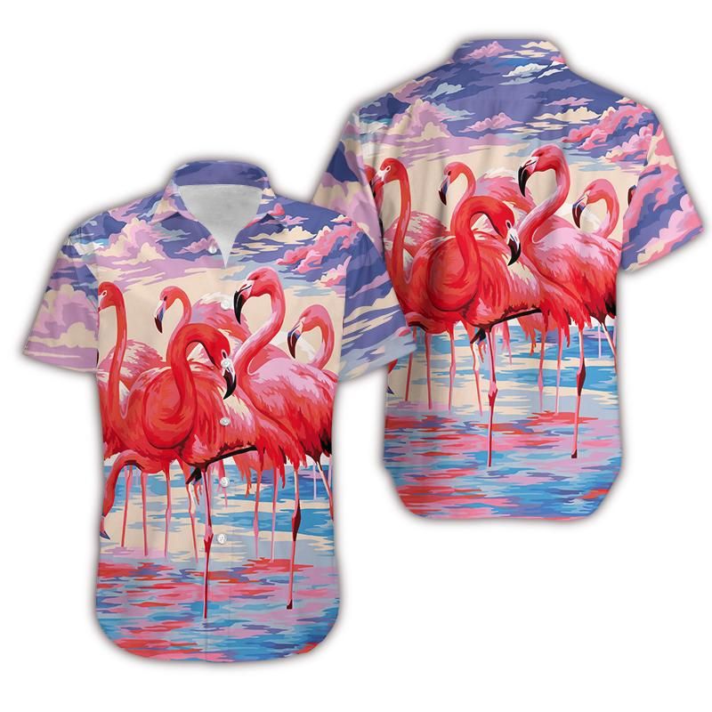 Felacia Flamingo Colorful Clouds Hawaiian Ha26780