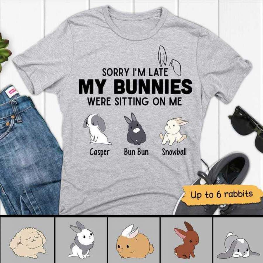 Rabbit Sorry My Bunny Was Sitting On Me Shirt